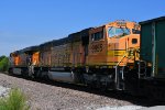 BNSF 9955 Roster shot